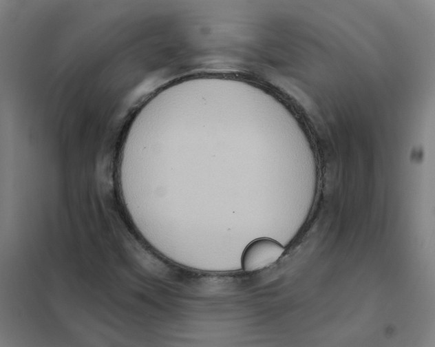 X0000101431451200808041140