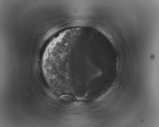 X0000101431453200808041140