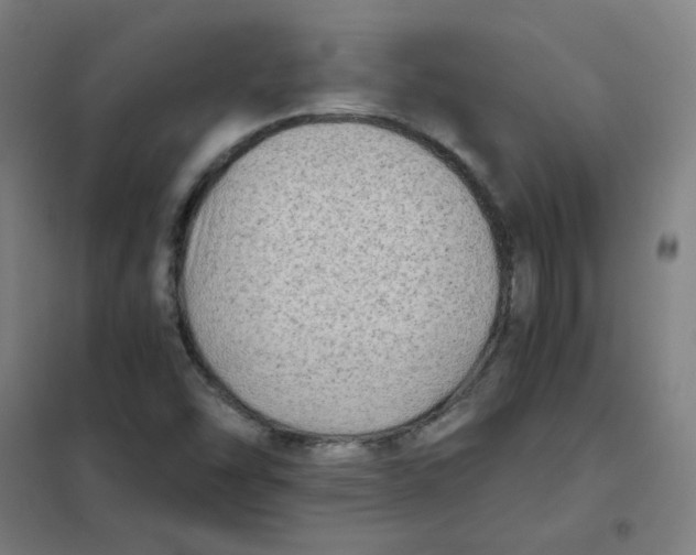 X0000101431454200808041140