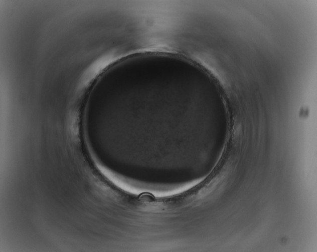 X0000101431455200808041140