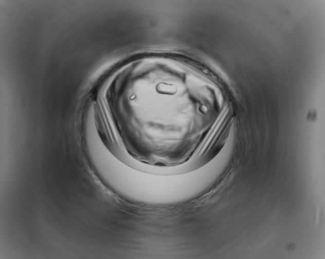 X0000101431456200808041140