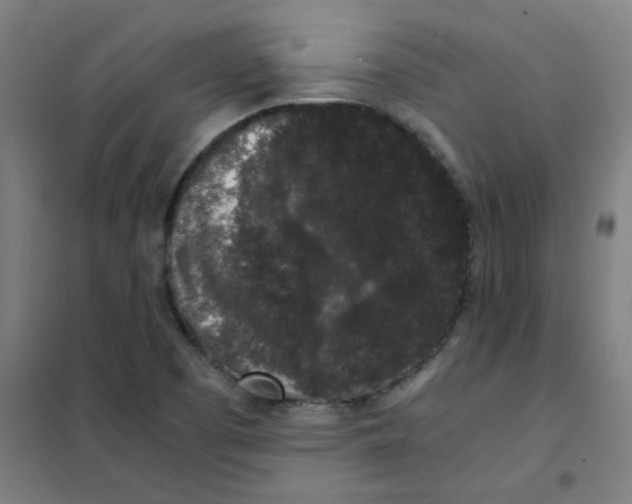 X0000101431457200808041140