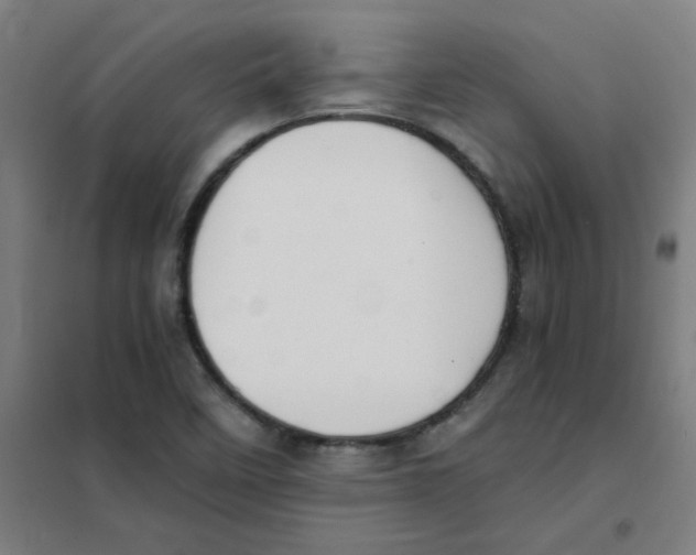 X0000101431458200808041140