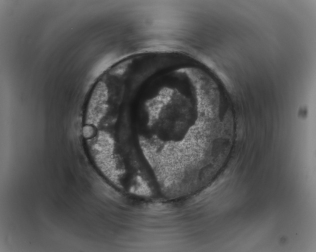 X0000101431459200808041140