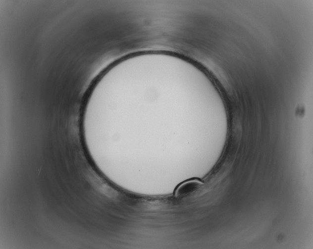 X0000101431460200808041140