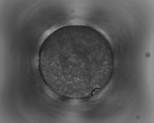 X0000101431461200808041140