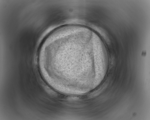 X0000101431462200808041140