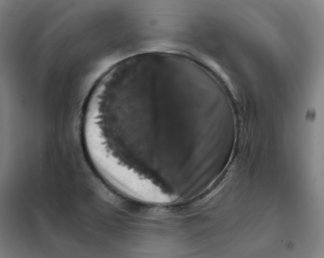 X0000101431463200808041140