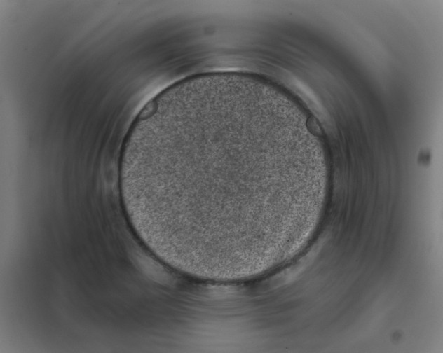 X0000101431465200808041140