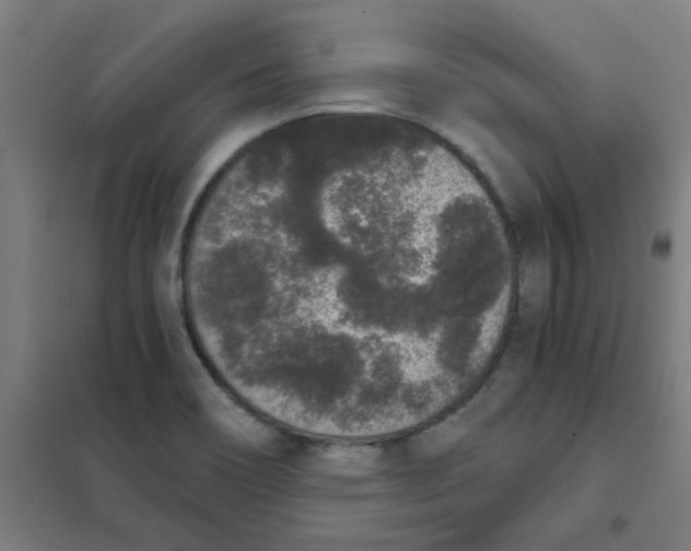 X0000101431466200808041140