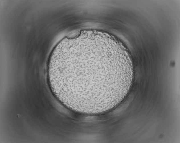 X0000101431467200808041140