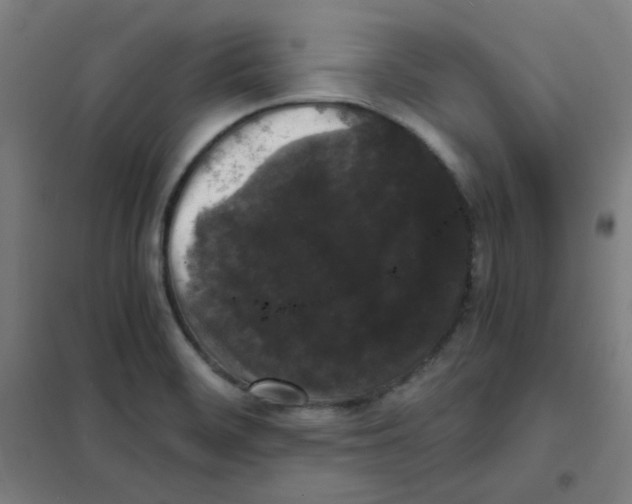 X0000101431468200808041140