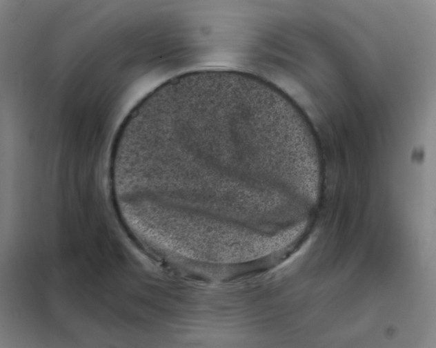 X0000101431469200808041140