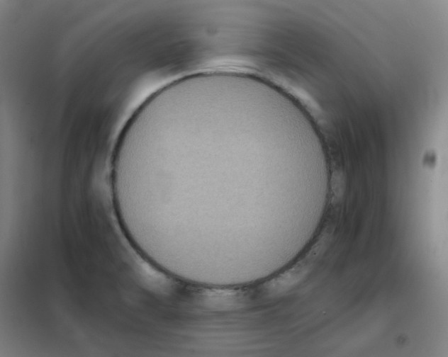 X0000101431470200808041140