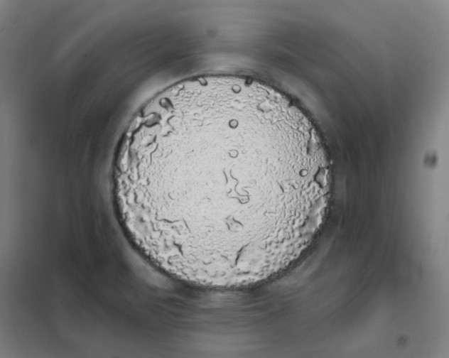 X0000101431471200808041140