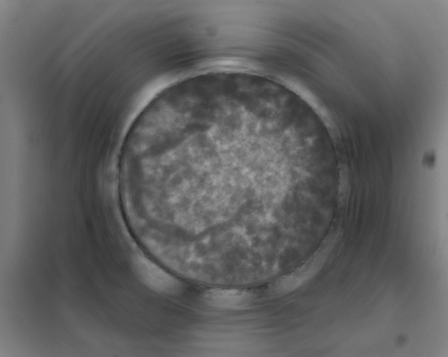 X0000101431474200808041140