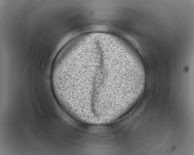 X0000101431475200808041140