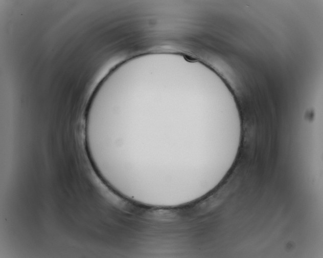 X0000101431476200808041140