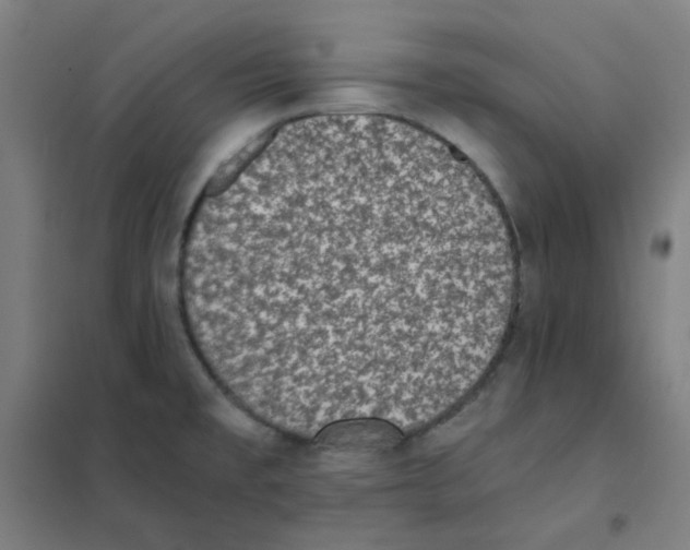 X0000101431477200808041140