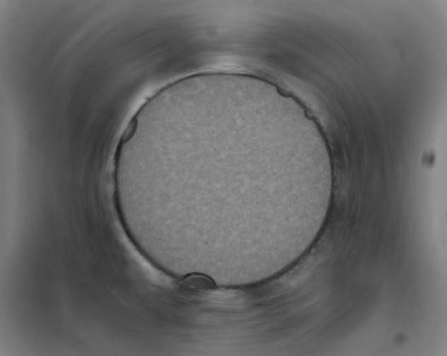 X0000101431479200808041140