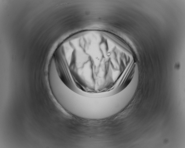 X0000101431480200808041140