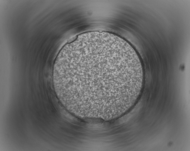 X0000101431481200808041140