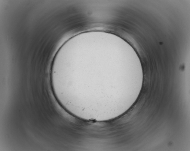 X0000101431483200808041140