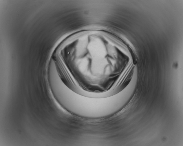 X0000101431484200808041140