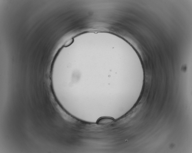 X0000101431485200808041140