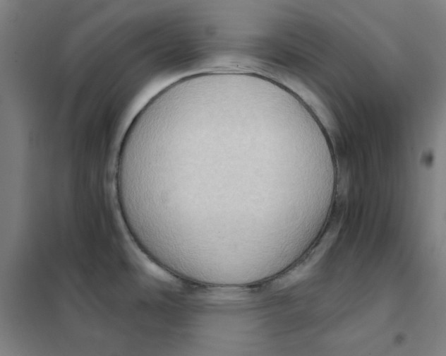 X0000101431486200808041140