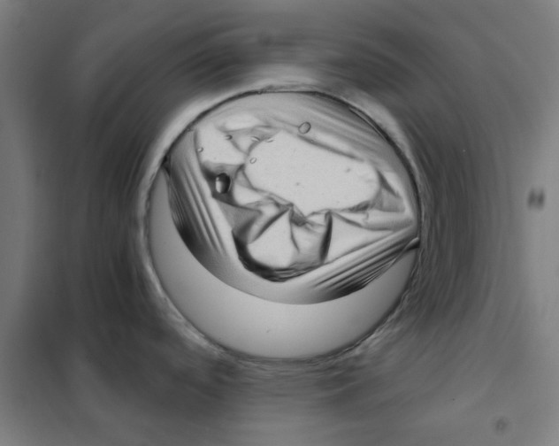 X0000101431488200808041140