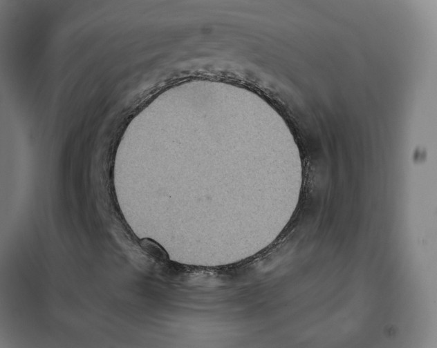 X0000101431489200808041139