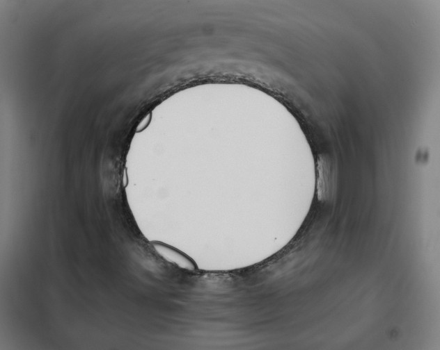 X0000101431491200808041139