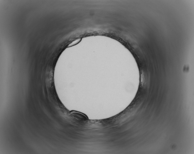 X0000101431492200808041139