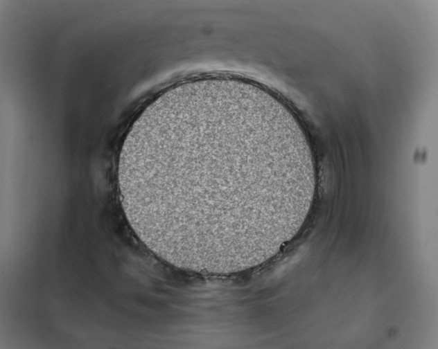 X0000101431494200808041139