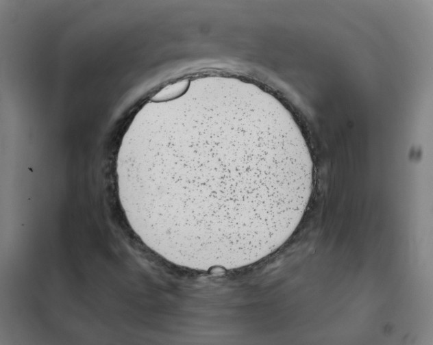 X0000101431496200808041139