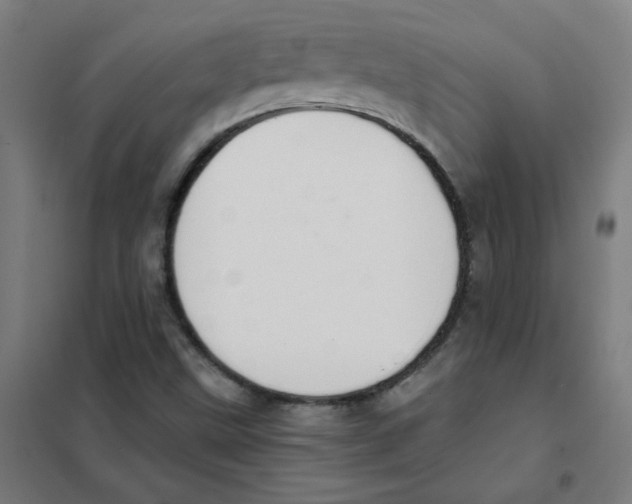 X0000101431499200808041139