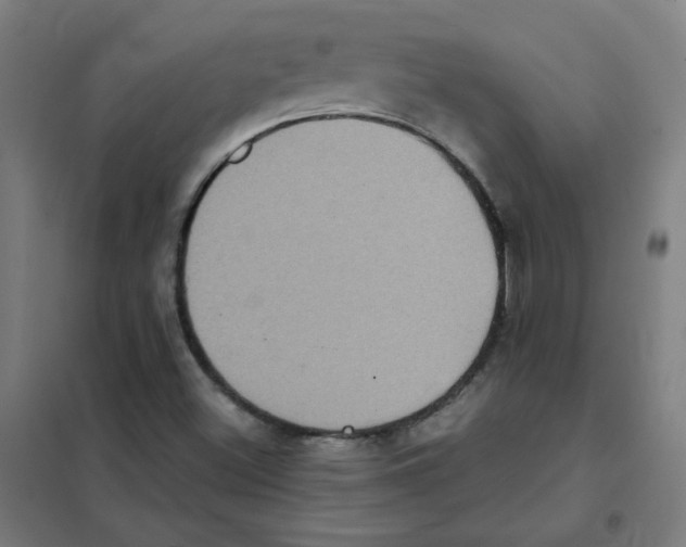 X0000101431500200808041139