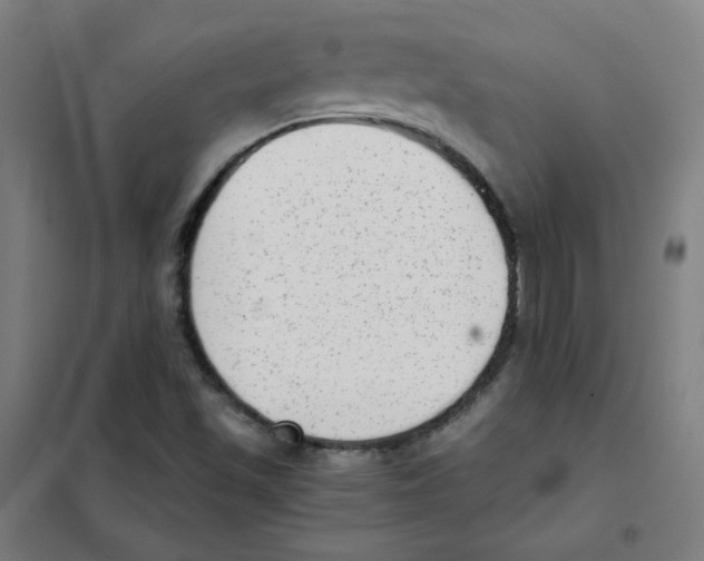 X0000101431501200808041139