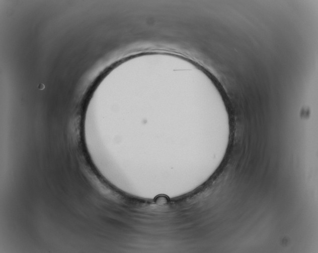 X0000101431503200808041139