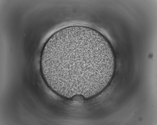 X0000101431504200808041139