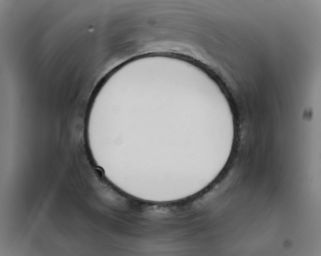 X0000101431505200808041139