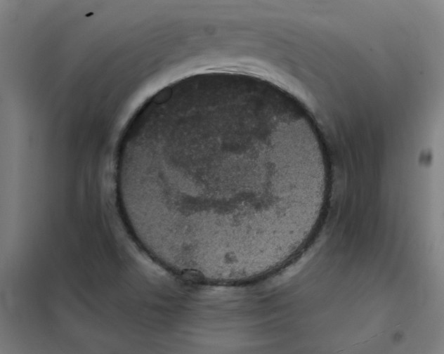 X0000101431506200808041139