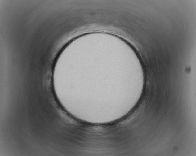 X0000101431507200808041139