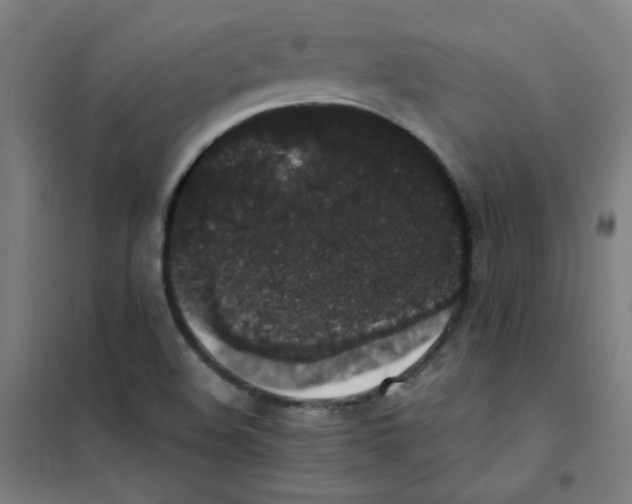 X0000101431508200808041139