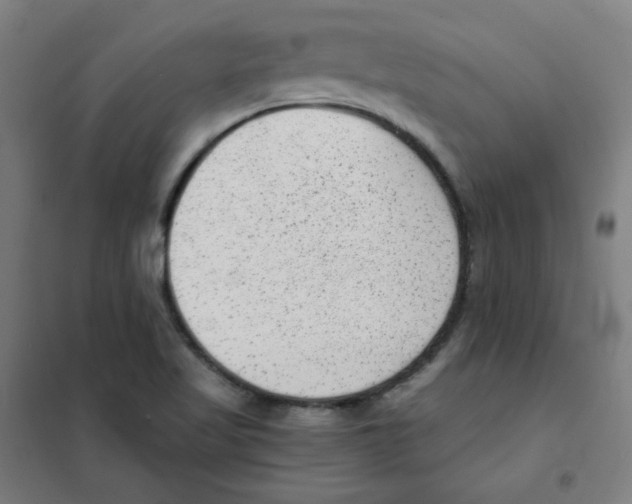 X0000101431509200808041139