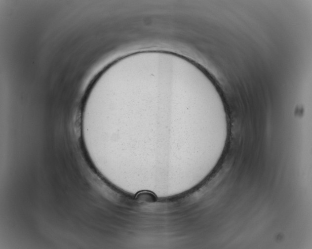 X0000101431510200808041139