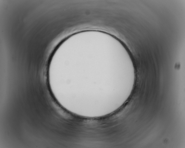 X0000101431511200808041139