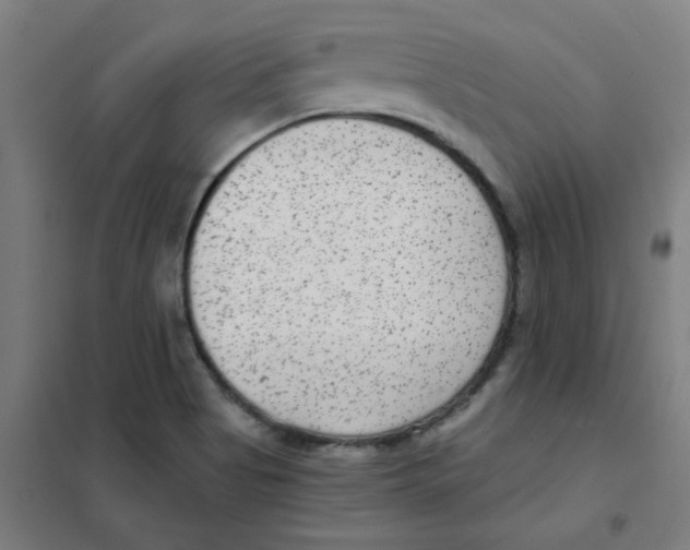 X0000101431513200808041139