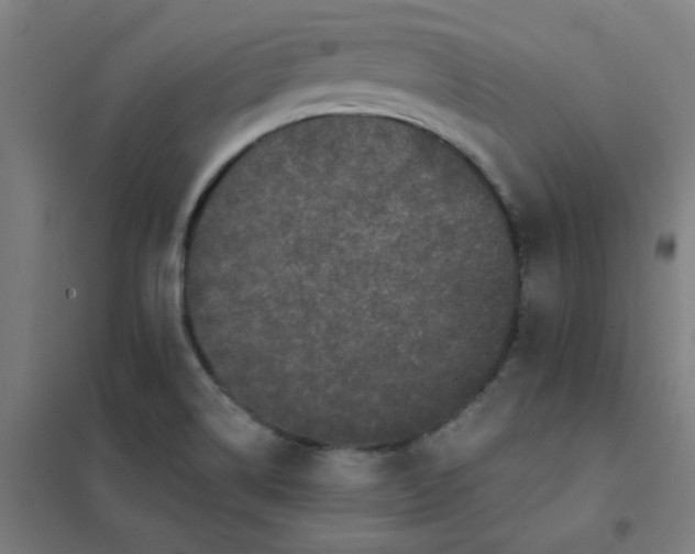 X0000101431514200808041139